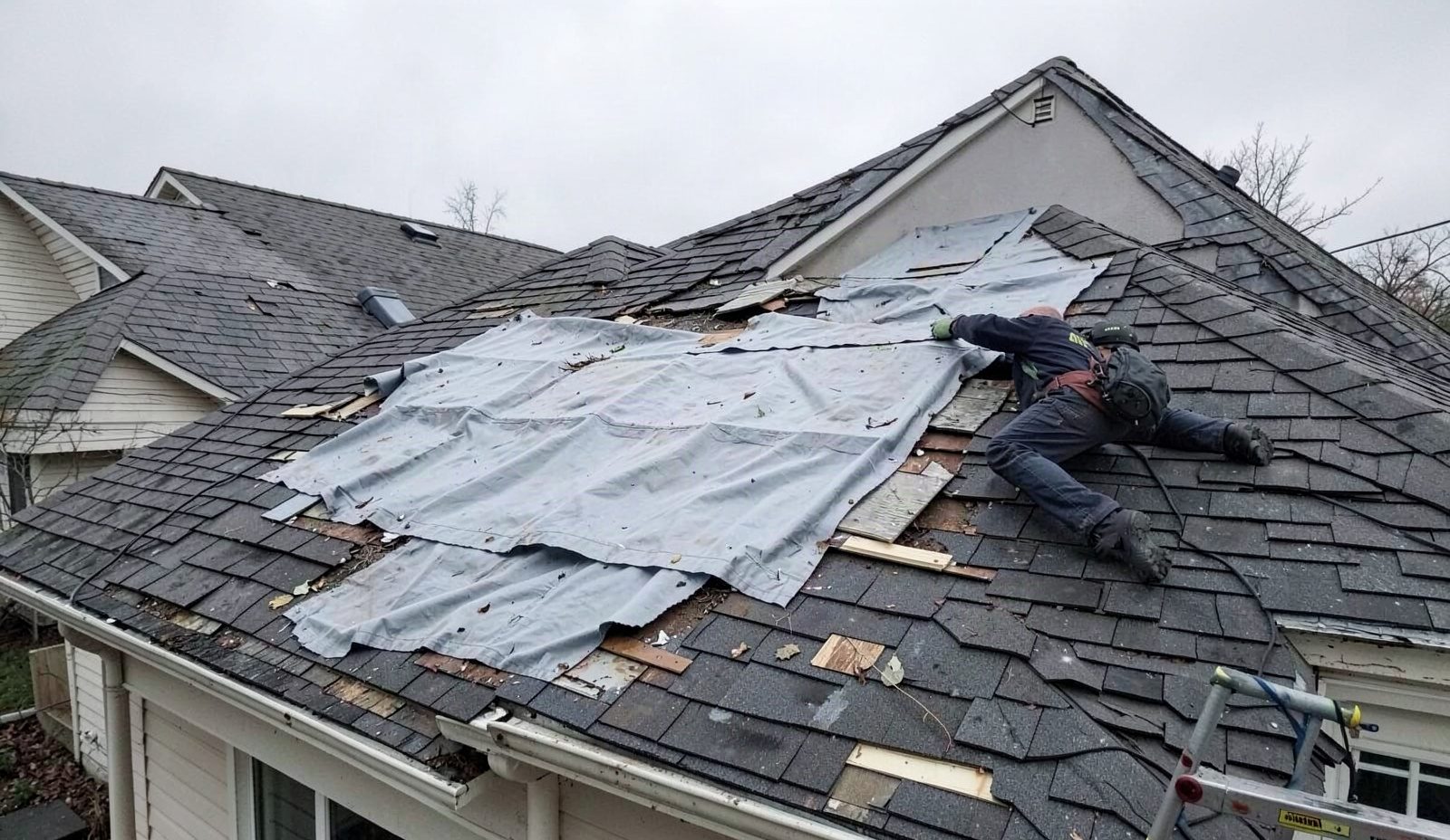 Bexley Roofing Seasonal Tune Up