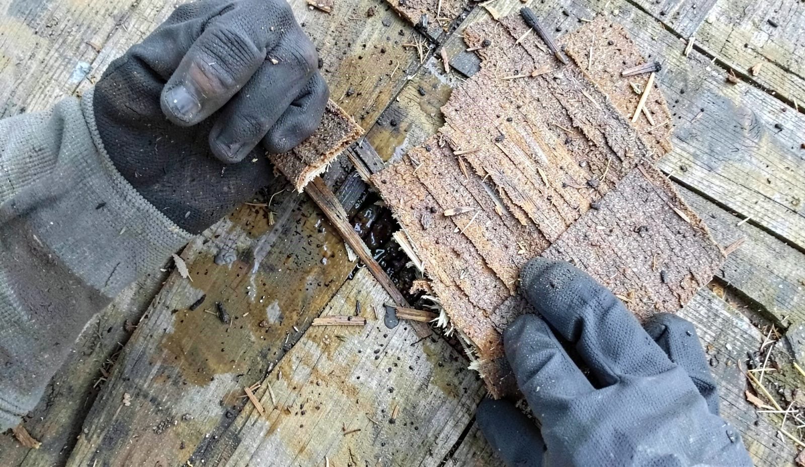 Temporary Roof Patching Tracing The Source